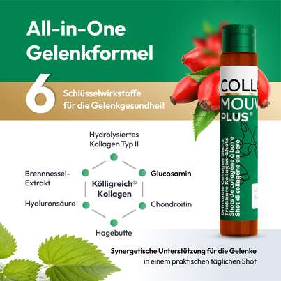CollaMouv Plus®, A-Nr.: 6118091 - 04