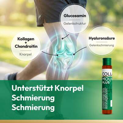 CollaMouv Plus®, A-Nr.: 6118091 - 05