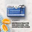 Sie sehen eine Packung CollaMouv® Original, Produktbild: 05 CollaMouv® Original, A-Nr.: 6118033 - 05