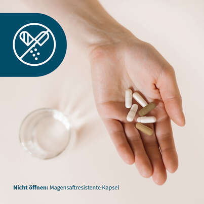 Sie sehen eine Packung NatuGena BactoGena SR & C Kapseln, Produktbild: 07 NatuGena BactoGena SR & C Kapseln, A-Nr.: 6040331 - 07