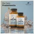 Sie sehen eine Packung L-glutamin +fenchel Kapseln Arktis 180st, Produktbild: 07 L-glutamin +fenchel Kapseln Arktis 180st, A-Nr.: 4750643 - 07