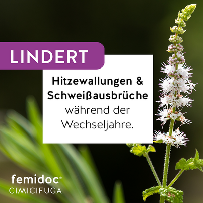 Sie sehen eine Packung femidoc CIMICIFUGA 13 mg Filmtabletten, Produktbild: 02 femidoc CIMICIFUGA 13 mg Filmtabletten, A-Nr.: 5533787 - 02