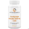 Cordyceps Sinensis-extrakt Kapseln Vegetarisch 500mg Vita World 100st, A-Nr.: 4836439 - 02