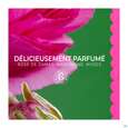 Roger &amp; Gallet Rose Deodorant 24h 50g, A-Nr.: 5976444 - 08