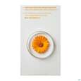 Sie sehen eine Packung Weleda Calendula Wundschutzcreme Parfuemfrei 75ml, Produktbild: 04 Weleda Calendula Wundschutzcreme Parfuemfrei 75ml, A-Nr.: 5887976 - 04