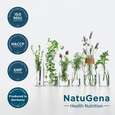 Sie sehen eine Packung NatuGena Kreatin Pro Pulver, Produktbild: 05 NatuGena Kreatin Pro Pulver, A-Nr.: 6040265 - 05
