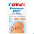 Sie sehen eine Packung Huehneraugen Schutzpflaster +salicyl Gehwol 64168 8st, Produktbild: 01 Huehneraugen Schutzpflaster +salicyl Gehwol 64168 8st, A-Nr.: 5915951 - 01