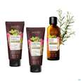 Sie sehen eine Packung Massage Gel Farfalla Thermo Aktiv Muskeln +gelenke 100ml, Produktbild: 04 Massage Gel Farfalla Thermo Aktiv Muskeln +gelenke 100ml, A-Nr.: 5831125 - 04