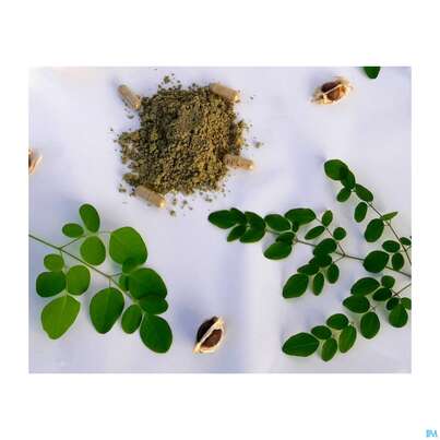 Sie sehen eine Packung Moringa Powder Capsules 60 Stk., Produktbild: 01 Moringa Powder Capsules 60 Stk., A-Nr.: 4583412 - 01