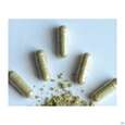Sie sehen eine Packung Moringa Powder Capsules 60 Stk., Produktbild: 05 Moringa Powder Capsules 60 Stk., A-Nr.: 4583412 - 05