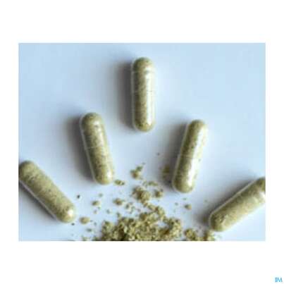 Sie sehen eine Packung Moringa Powder Capsules 60 Stk., Produktbild: 05 Moringa Powder Capsules 60 Stk., A-Nr.: 4583412 - 05