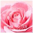 Sie sehen eine Packung Nuxe Very Rose Creamy Cleansing Milk 200ml, Produktbild: 05 Nuxe Very Rose Creamy Cleansing Milk 200ml, A-Nr.: 5948146 - 05