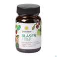 Sie sehen eine Packung Sonnenmoor Kapseln Blasenfein 30st, Produktbild: 03 Sonnenmoor Kapseln Blasenfein 30st, A-Nr.: 5868387 - 03