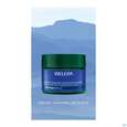 Weleda Blauer Enzian +edelweiss Festigende Nachtpflege 40ml, A-Nr.: 5729958 - 05