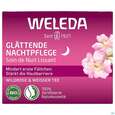 Weleda Wildrose/+weisser Tee Glaettende Nachtpflege 40ml, A-Nr.: 5838179 - 02