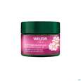 Weleda Wildrose/+weisser Tee Glaettende Nachtpflege 40ml, A-Nr.: 5838179 - 03