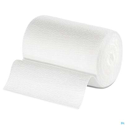 Elastische Binden Idealast 10 Binden Unterverpackt 5mx 8cm 1st, A-Nr.: 1738179 - 05