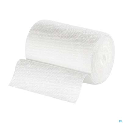 Elastische Binden Idealast 10 Binden Unterverpackt 5mx 6cm 1st, A-Nr.: 1738162 - 06