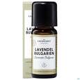 Sie sehen eine Packung Aetherische Oele Dr.eberhardt Lavendel Bulgarien 10ml, Produktbild: 08 Aetherische Oele Dr.eberhardt Lavendel Bulgarien 10ml, A-Nr.: 5876932 - 08