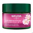 Sie sehen eine Packung Weleda Wildrose/+weisser Tee Glaettende Nachtpflege 40ml, Produktbild: 05 Weleda Wildrose/+weisser Tee Glaettende Nachtpflege 40ml, A-Nr.: 5838179 - 05