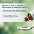 Apozema® Nr. 26 Reizblasen-Tropfen, A-Nr.: 0987928 - 05