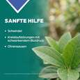 Sie sehen eine Packung Apozema® Nr. 30 Schwindel- und Kreislauf-Tropfen, Produktbild: 03 Apozema® Nr. 30 Schwindel- und Kreislauf-Tropfen, A-Nr.: 0987905 - 03