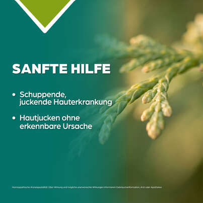 Sie sehen eine Packung Apozema® Nr. 40 Psoriasis-Tropfen, Produktbild: 03 Apozema® Nr. 40 Psoriasis-Tropfen, A-Nr.: 1291175 - 03