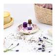 Aetherische Oele Taoasis Bio/demeter Lavendel Fein 5ml, A-Nr.: 3164334 - 05