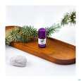 Aetherische Oele Taoasis Bio Zeder 5ml, A-Nr.: 3166899 - 04