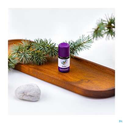 Aetherische Oele Taoasis Bio Zeder 5ml, A-Nr.: 3166899 - 04