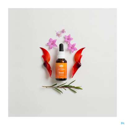 Aub Boost Essence 30ml, A-Nr.: 5605587 - 04
