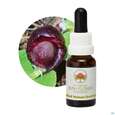Sie sehen eine Packung Aub Red Helmet Orchid, Produktbild: 04 Aub Red Helmet Orchid, A-Nr.: 2627275 - 04
