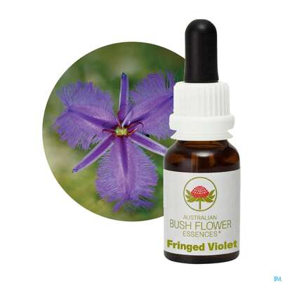 Aub Fringed Violet, A-Nr.: 2627045 - 04
