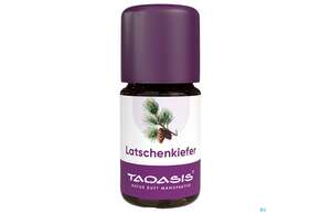 Aetherische Oele Taoasis Bio Latschenkiefer 5ml, A-Nr.: 4372603 - 01