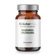Sie sehen eine Packung Quercetin Kapseln 250 mg 90 Stück, Produktbild: 01 Quercetin Kapseln 250 mg 90 Stück, A-Nr.: 4997013 - 01