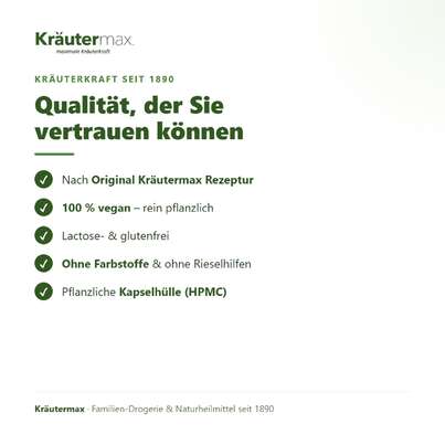 Sie sehen eine Packung Quercetin Kapseln 250 mg 90 Stück, Produktbild: 05 Quercetin Kapseln 250 mg 90 Stück, A-Nr.: 4997013 - 05