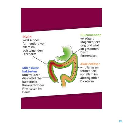 Dr.wolz Probiocolon Gewichtsreduktion Nr 60540 315g, A-Nr.: 4741779 - 05
