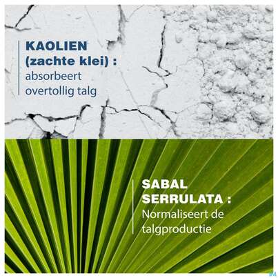Sie sehen eine Packung Shampoon Ducray Sabal/argeal Talgabsorbierend 200ml, Produktbild: 23 Shampoon Ducray Sabal/argeal Talgabsorbierend 200ml, A-Nr.: 5964412 - 23