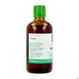 Haferstroh Tinktur Avena Sativa Phytopharma 100ml, A-Nr.: 5393027 - 04
