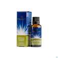 Pflanzenextrakt Dr Ewald Toeth Lqa Microvita 10ml, A-Nr.: 2629127 - 01