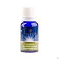Pflanzenextrakt Dr Ewald Toeth Lqa Microvita 10ml, A-Nr.: 2629127 - 03