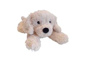 Sie sehen eine Packung Golden Retriever, Produktbild: 01 Golden Retriever, A-Nr.: 5699909 - 01