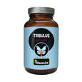 Hanoju Tribulus Extrakt Tabletten 400mg, A-Nr.: 4255978 - 01
