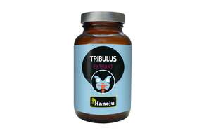 Sie sehen eine Packung Hanoju Tribulus Extrakt Tabletten 400mg, Produktbild: 01 Hanoju Tribulus Extrakt Tabletten 400mg, A-Nr.: 4255978 - 01