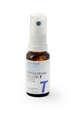 Spenglersan Kolloid T, A-Nr.: 1136948 - 03