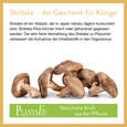 Sie sehen eine Packung Shiitake Pulver 190g, Produktbild: 04 Shiitake Pulver 190g, A-Nr.: 4547014 - 04