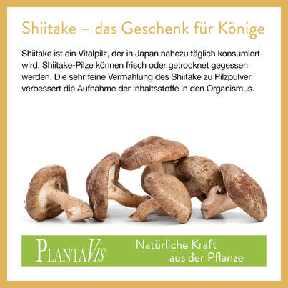 Sie sehen eine Packung Shiitake Pulver 190g, Produktbild: 04 Shiitake Pulver 190g, A-Nr.: 4547014 - 04