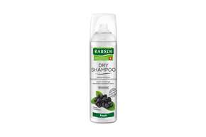 Sie sehen eine Packung RAUSCH DRY SHAMPOOO Fresh, Produktbild: 01 RAUSCH DRY SHAMPOOO Fresh, A-Nr.: 4763798 - 01