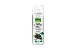 Sie sehen eine Packung RAUSCH DRY SHAMPOOO Fresh, Produktbild: 01 RAUSCH DRY SHAMPOOO Fresh, A-Nr.: 4763829 - 01