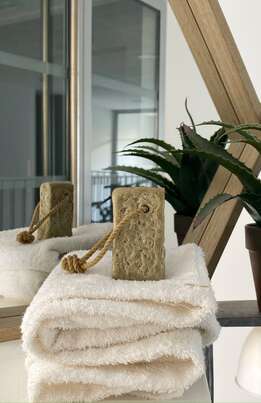 Madiza Bio Shampoo Fest Aloe &amp; Shea Butter, A-Nr.: 5446924 - 03